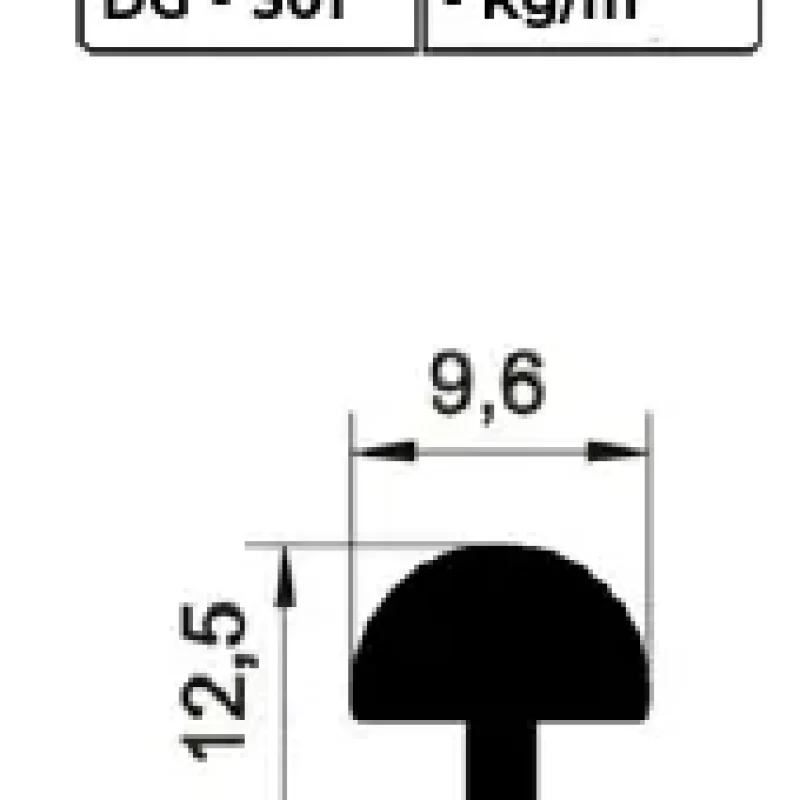 DG-301 - New Door